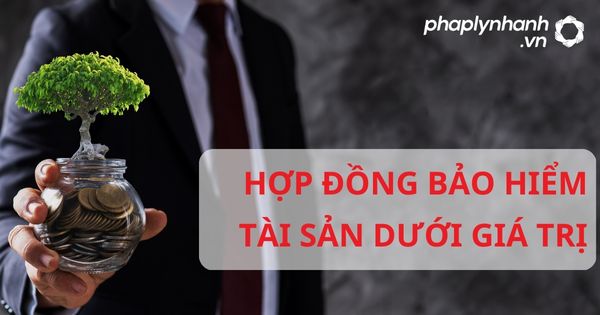 Hợp đồng bảo hiểm tài sản dưới giá trị theo luật kinh doanh bảo hiểm 2022? 1 HỢP ĐỒNG BẢO HIỂM TÀI SẢN DƯỚI GIÁ TRỊ - HỖ TRỢ, TƯ VẤN PHÁP LÝ NHANH