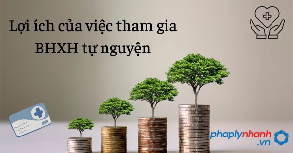 Lợi ích của việc tham gia BHXH tự nguyện - tư vấn hỗ trợ pháp lý nhanh
