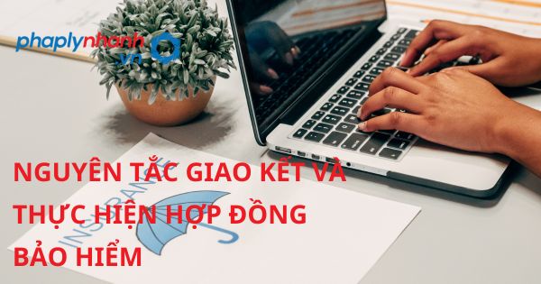 Các nguyên tắc giao kết và thực hiện hợp đồng bảo hiểm được quy định như thế nào? 30 NGUYÊN TẮC GIAO KẾT VÀ THỰC HIỆN HỢP ĐỒNG BẢO HIỂM - HỖ TRỢ, TƯ VẤN PHÁP LÝ NHANH
