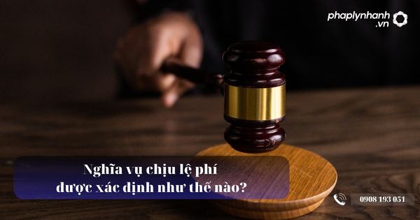 Nghĩa vụ chịu lệ phí được xác định như thế nào? 3 Nghĩa vụ chịu lệ phí được xác định như thế nào - Tư vấn, hỗ trợ pháp lý nhanh