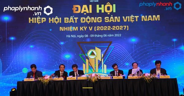 Cơ chế hoạt động của Hiệp hội Bất động sản nhà đất Việt Nam 1 Hiệp hội Bất động sản nhà đất Việt Nam-tư vấn, hỗ trợ pháp lý nhanh