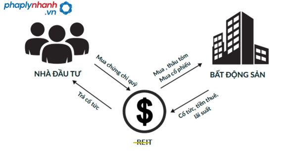 Quy định về hoạt động giao của quỹ đầu tư bất động sản như thế nào? 2 quỹ đầu tư bất động sản-tư vấn, hỗ trợ pháp lý nhanh