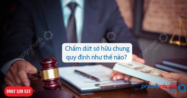 Nguyên nhân dẫn tới chấm dứt sở hữu chung là gì? 1 Nguyên nhân chấm dứt sở hữu chung-Hỗ trợ, tư vấn pháp lý nhanh