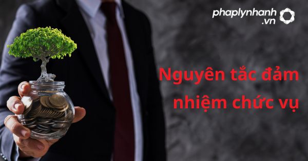 Các nguyên tắc đảm nhiệm chức vụ theo luật kinh doanh bảo hiểm 2022? 1 Nguyên tắc đảm nhiệm chức vụ - hỗ trợ, tư vấn pháp lý nhanh
