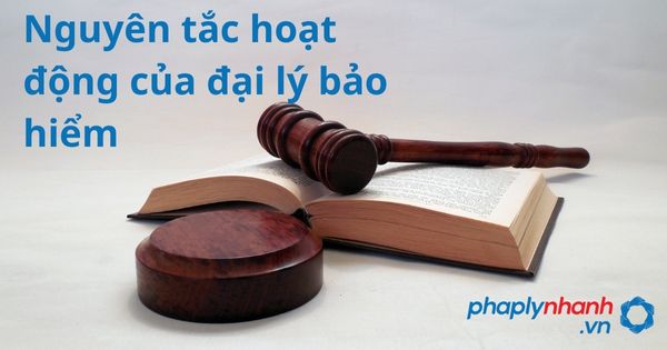 Các nguyên tắc hoạt động của đại lý bảo hiểm theo luật kinh doanh bảo hiểm 2022? 1 Nguyên tắc hoạt động của đại lý bảo hiểm - hỗ trợ, tư vấn pháp lý nhanh