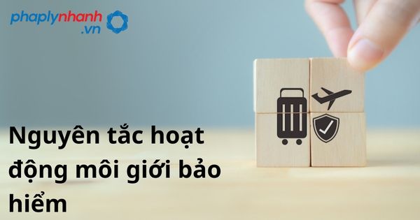 Các nguyên tắc hoạt động môi giới bảo hiểm theo luật kinh doanh bảo hiểm 2022? 1 Nguyên tắc hoạt động môi giới bảo hiểm - hỗ trợ, tư vấn pháp lý nhanh