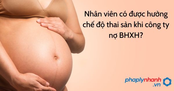 Nhân viên có được hưởng chế độ thai sản khi công ty nợ BHXH? 1 Nhân viên có được hưởng chế độ thai sản khi công ty nợ BHXH - tư vấn hỗ trợ pháp lý nhanh