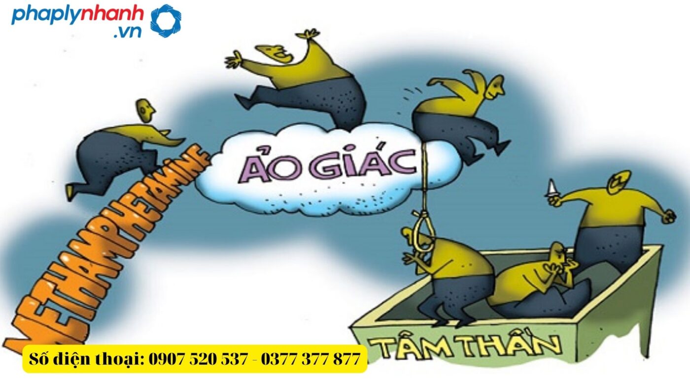 Phạm tội do sử dụng chất ma túy gây kích thích ảo giác xử lý thế nào? 16 Phạm tội do sử dụng chất ma túy gây kích thích ảo giác-Hỗ trợ, tư vấn pháp lý nhanh