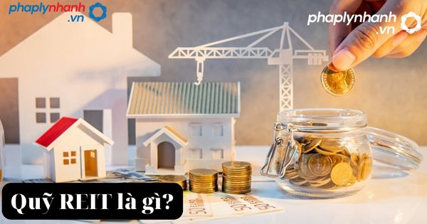 Thế chấp quyền sử dụng đất có phải đăng ký biến động đất đai hay không? 2 đăng ký biến động đất đai-tư vấn, hỗ trợ đất đai