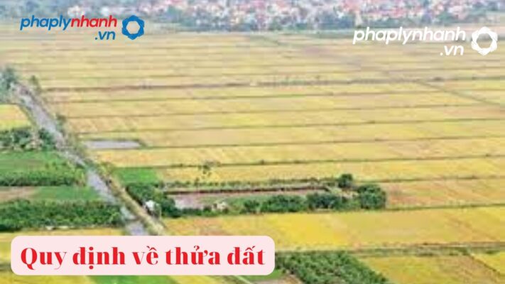 Đất nông nghiệp dính quy hoạch có được chuyển mục đích sử dụng đất không? 1 Đất nông nghiệp dính quy hoạch-tư vấn, hỗ trợ pháp lý nhanh