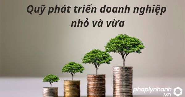 05 điều cần biết về Quỹ phát triển doanh nghiệp nhỏ và vừa 1 Quỹ phát triển doanh nghiệp nhỏ và vừa - tư vấn hỗ trợ pháp lý nhanh