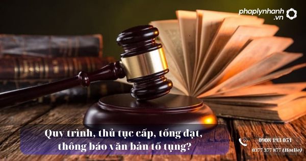 Thủ tục cấp, tống đạt, thông báo văn bản tố tụng? 3 Quy trình, thủ tục cấp, tống đạt, thông báo văn bản tố tụng - Tư vấn, hỗ trợ pháp lý nhanh