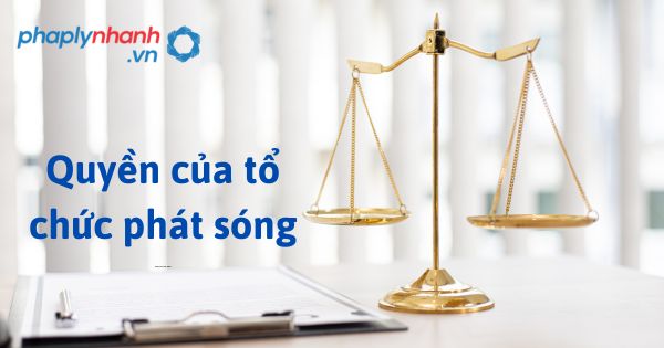 Năm 2023, quyền của tổ chức phát sóng được quy định như thế nào? 1 Quyền của tổ chức phát sóng - hỗ trợ, tư vấn pháp lý nhanh