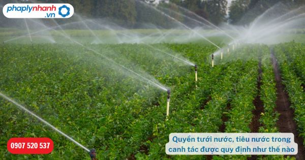 Quyền tưới nước, tiêu nước trong canh tác được pháp luật quy định như thế nào? 1 Quyền tưới nước, tiêu nước trong canh tác được quy định như thế nào-Hỗ trợ, tư vấn pháp lý nhanh