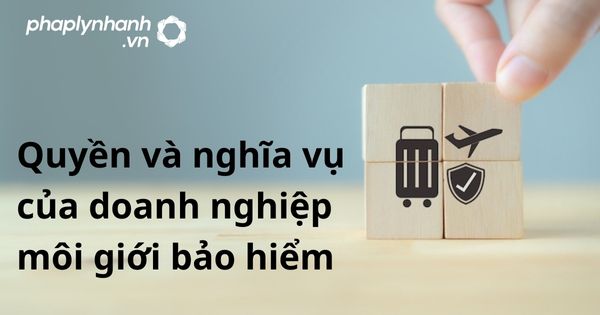 Quyền và nghĩa vụ của doanh nghiệp môi giới bảo hiểm theo luật kinh doanh bảo hiểm 2022? 5 Quyền và nghĩa vụ của doanh nghiệp môi giới bảo hiểm - hỗ trợ, tư vấn pháp lý nhanh