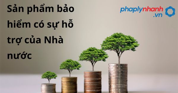 Sản phẩm bảo hiểm có sự hỗ trợ của Nhà nước theo Luật kinh doanh bảo hiểm 2022? 13 Sản phẩm bảo hiểm có sự hỗ trợ của Nhà nước - hỗ trợ, tư vấn pháp lý nhanh