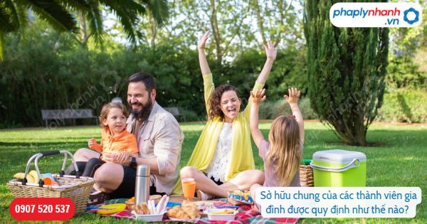 Sở hữu chung của các thành viên gia đình được quy định như thế nào? 1 Sở hữu chung của các thành viên gia đình được quy định như thế nào-Hỗ tợ, tư vấn pháp lý nhanh