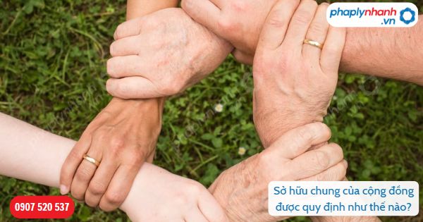 Sở hữu chung của cộng đồng được Bộ luật Dân sự 2015 quy định như thế nào? 1 Sở hữu chung của cộng đồng được quy định như thế nào-Hỗ trợ, tư vấn pháp lý nhanh