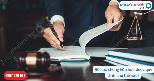 Sở hữu chung hỗn hợp là gì? 1 Sở hữu chung hỗn hợp-Hỗ trợ, tư vấn pháp lý nhanh