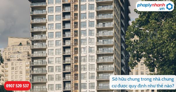 Sở hữu chung trong nhà chung cư được quy định như thế nào? 1 Sở hữu chung trong nhà chung cư được quy định như thế nào-Hỗ trợ, tư vấn pháp lý nhanh