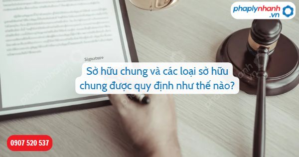 Sở hữu chung và các loại sở hữu chung được quy định như thế nào? 1 Sở hữu chung và các loại sở hữu chung được quy định như thế nào-Hỗ trợ, tư vấn pháp lý nhanh