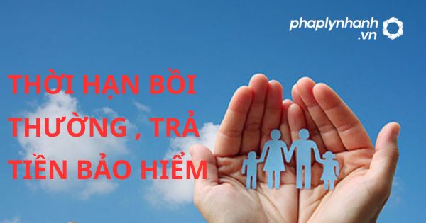 Thời hạn bồi thường trả tiền bảo hiểm theo pháp luật kinh doanh bảo hiểm 2022? 13 THỜI HẠN BỒI THƯỜNG TRẢ TIỀN BẢO HIỂM - HỖ TRỢ, TƯ VẤN PHÁP LÝ NHANH
