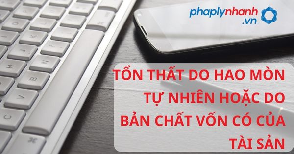 TỔN THẤT DO HAO MÒN TỰ NHIÊN HOẶC DO BẢN CHẤT VỐN CÓ CỦA TÀI SẢN - HỖ TRỢ, TƯ VẤN PHÁP LÝ NHANH
