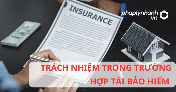 TRÁCH NHIỆM TRONG TRƯỜNG HỢP TÁI BẢO HIỂM - HỖ TRỢ, TƯ VẤN PHÁP LÝ NHANH