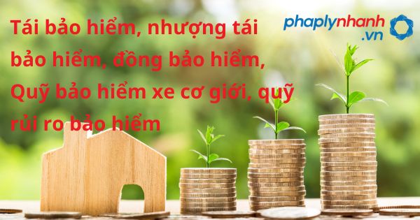 Tái bảo hiểm, nhượng tái bảo hiểm, đồng bảo hiểm, Quỹ bảo hiểm xe cơ giới, quỹ rủi ro bảo hiểm theo luật kinh doanh bảo hiểm 2022? 10 Tái bảo hiểm, nhượng tái bảo hiểm, đồng bảo hiểm, Quỹ bảo hiểm xe cơ giới, quỹ rủi ro bảo hiểm - hỗ trợ, tư vấn pháp lý nhanh