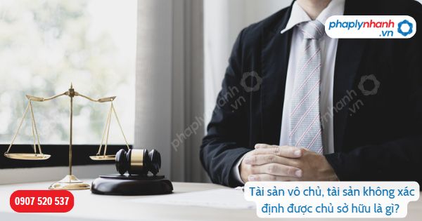 Tài sản vô chủ, tài sản không xác định được chủ sở hữu là gì? 1 Tài sản vô chủ, tài sản không xác định được chủ sở hữu là gì-Hỗ trợ, tư vấn pháp lý nhanh