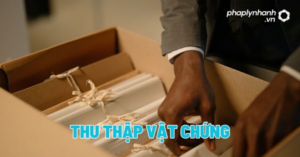 Việc thu thập vật chứng theo quy định của BLTTHS như thế nào? 4 Việc thu thập vật chứng theo quy định của BLTTHS như thế nào?