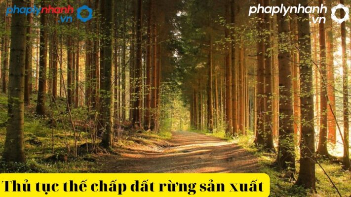 Thủ tục thế chấp đất rừng sản xuất như thế nào? 1 Thủ tục thế chấp đất rừng sản xuất-tư vấn, hỗ trợ pháp lý nhanh