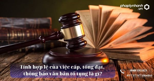 Tính hợp lệ của việc cấp, tống đạt, thông báo văn bản tố tụng là gì? 5 Tính hợp lệ của việc cấp, tống đạt, thông báo văn bản tố tụng - Tư vấn, hỗ trợ pháp lý nhanh