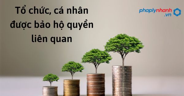Tổ chức, cá nhân được bảo hộ quyền liên quan như thế nào theo luật sở hữu trí tuệ 2022? 1 Tổ chức, cá nhân được bảo hộ quyền liên quan - hỗ trợ, tư vấn pháp lý nhanh