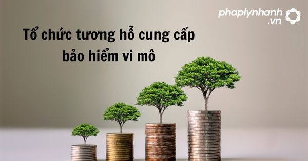 Tổ chức tương hỗ cung cấp bảo hiểm vi mô theo luật kinh doanh bảo hiểm 2022? 1 Tổ chức tương hỗ cung cấp bảo hiểm vi mô - hỗ trợ, tư vấn pháp lý nhanh