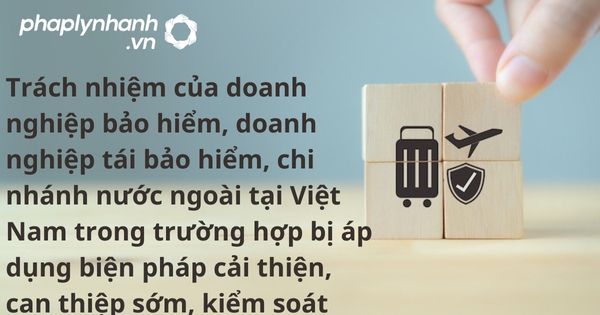 Trách nhiệm của doanh nghiệp bảo hiểm - hố trợ, tư vấn pháp lý nhanh