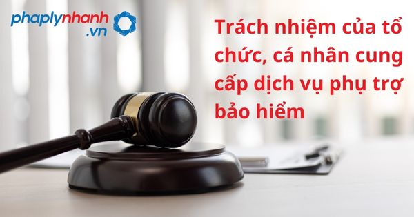 Trách nhiệm của tổ chức, cá nhân cung cấp dịch vụ phụ trợ bảo hiểm - hỗ trợ, tư vấn pháp lý nhanh