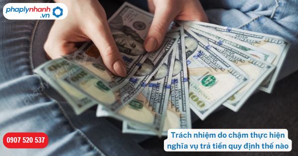 Trách nhiệm do chậm thực hiện nghĩa vụ trả tiền được quy định như thế nào? 1 Trách nhiệm do chậm thực hiện nghĩa vụ trả tiền-Hỗ trợ, tư vấn pháp lý nhanh