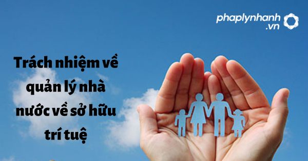 Trách nhiệm quản lý nhà nước theo Luật sở hữu trí tuệ sửa đổi bổ sung 2022? 6 Trách nhiệm về quản lý nhà nước về sở hữu trí tuệ - hỗ trợ, tư vấn pháp lý nhanh