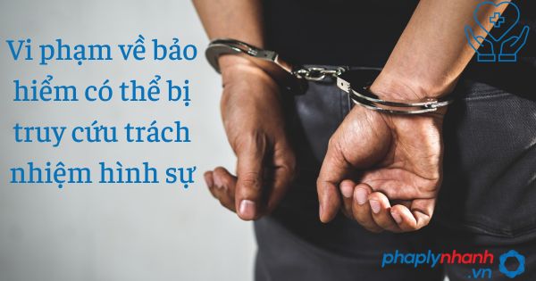 Tất cả các mức phạt Bảo hiểm năm 2023 4 Vi phạm về bảo hiểm có thể bị truy cứu trách nhiệm hình sự - tư vấn hỗ trợ pháp lý nhanh