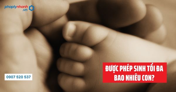 Quy định vợ chồng được phép sinh bao nhiêu con? 1 Vợ chồng được phép sinh bao nhiêu con theo Luật dân số - Tư vấn hỗ trợ pháp lý nhanh