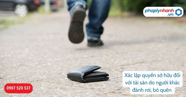 Xác lập quyền sở hữu đối với tài sản do người khác đánh rơi, bỏ quên được quy định như thế nào? 9 Xác lập quyền sở hữu đối với tài sản do người khác đánh rơi, bỏ quên-Hỗ trợ, tư vấn pháp lý nhanh