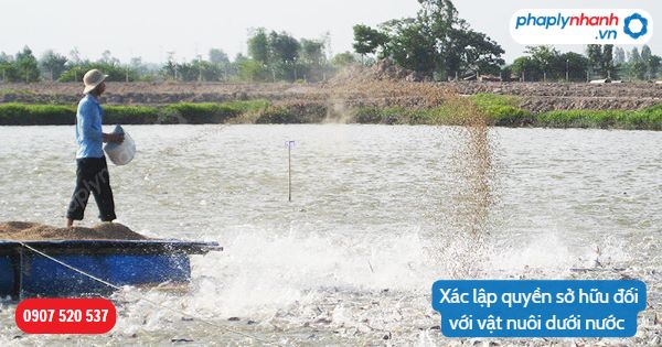 Xác lập quyền sở hữu đối với vật nuôi dưới nước được quy định như thế nào? 1 Xác lập quyền sở hữu đối với vật nuôi dưới nước-Hỗ trợ, tư vấn pháp lý nhanh