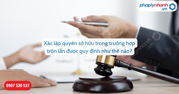 Xác lập quyền sở hữu trong trường hợp trộn lẫn được quy định như thế nào? 1 Xác lập quyền sở hữu trong trường hợp trộn lẫn được quy định như thế nào-Hỗ trợ, tư vấn pháp lý nhanh