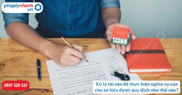 Xử lý tài sản để thực hiện nghĩa vụ của chủ sở hữu được quy định như thế nào? 1 Xử lý tài sản để thực hiện nghĩa vụ của chủ sở hữu được quy định như thế nào?