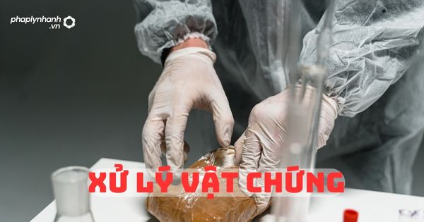 Xử lý vật chứng như thế nào? 1 Xử lý vật chứng- Tư vấn, hỗ trợ pháp lý nhanh