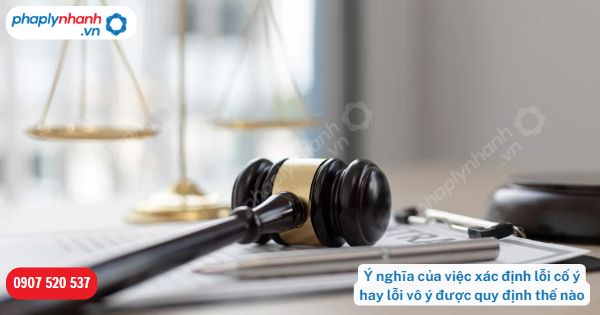 Ý nghĩa của việc xác định lỗi cố ý hay lỗi vô ý được quy định như thế nào? 1 Ý nghĩa của việc xác định lỗi cố ý hay lỗi vô ý-Hỗ trợ, tư vấn pháp lý nhanh