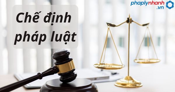 chế định pháp luật - tư vấn hỗ trợ pháp lý nhanh