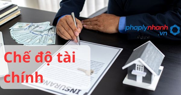 Chế độ tài chính theo luật kinh doanh bảo hiểm 2022? 1 chế độ tài chính - hỗ trợ, tư vấn pháp lý nhanh
