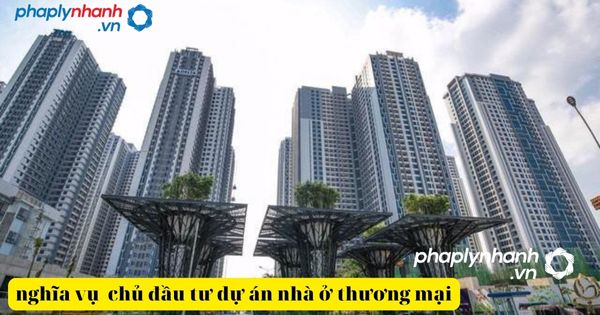 Thời hạn chủ đầu tư phải làm sổ đỏ cho người mua là bao lâu? 15 Quy định về thủ tục lựa chọn chủ đầu tư dự án xây dựng nhà ở thương mại quy định như thế nào?-tư vấn, hỗ trợ pháp lý nhanh